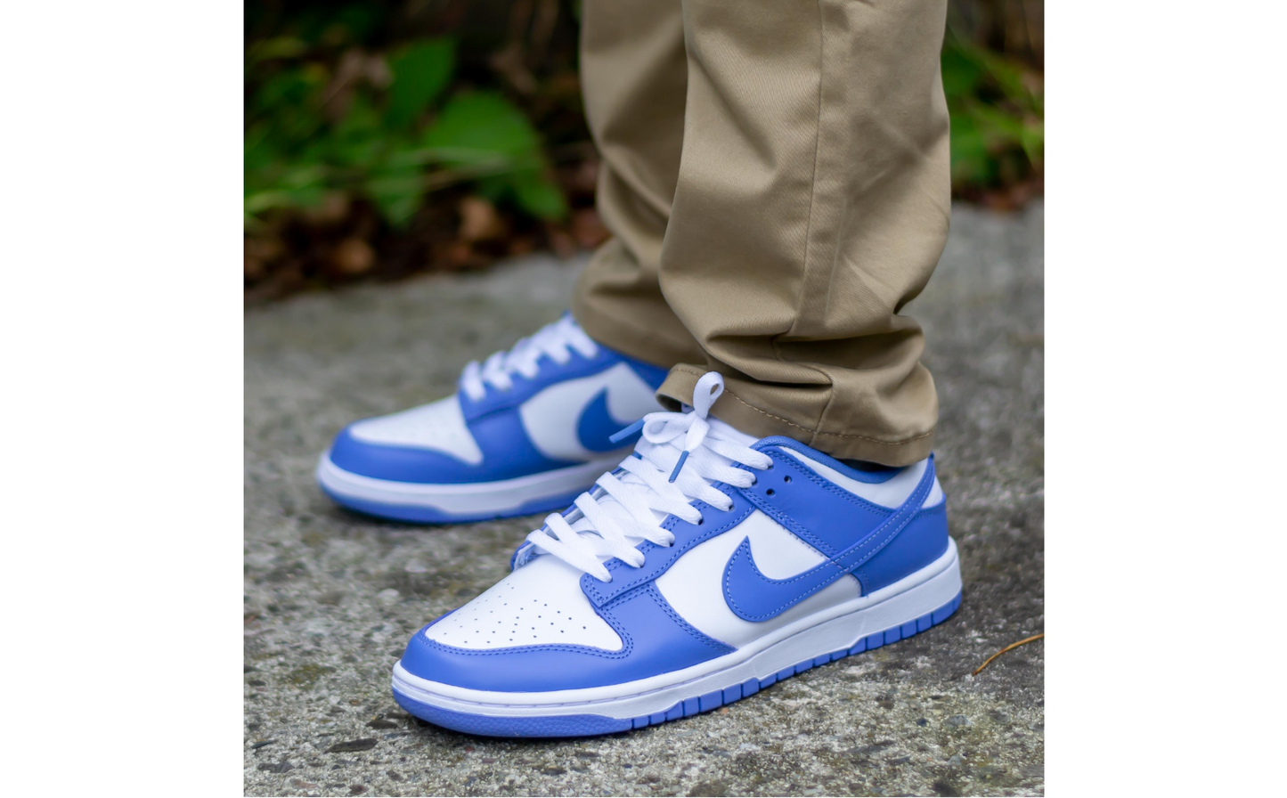Nike Dunk Low Polar Blue