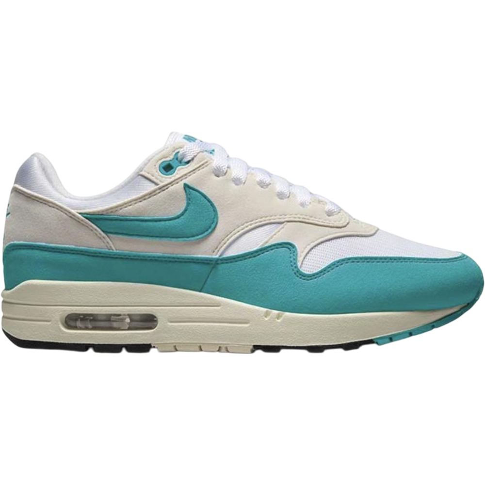 Nike Air Max 1 Dusty Cactus (Women's)