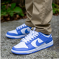 Nike Dunk Low Polar Blue