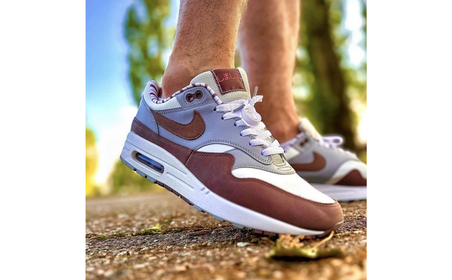 Nike Air Max 1 Premium Shima Shima