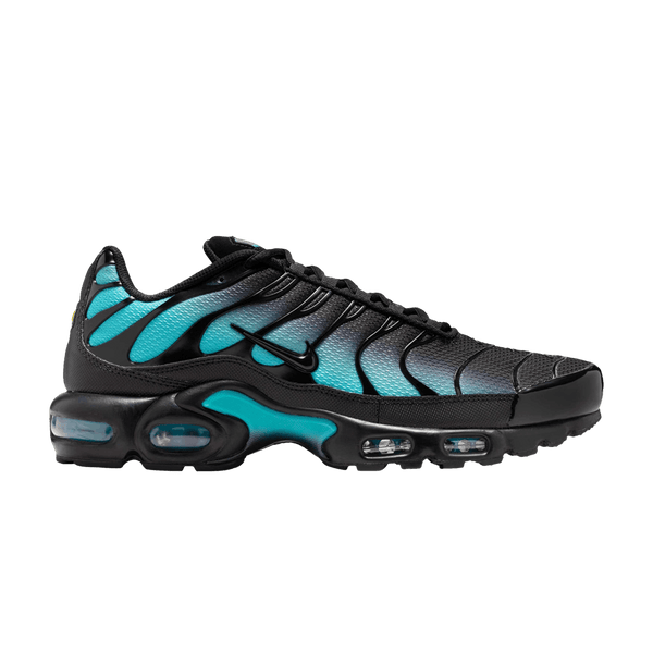 Nike Air Max Plus Black Dusty Cactus