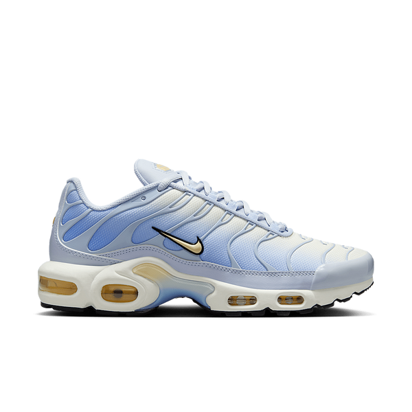 Nike Air Max Plus Daybreak (Women's)