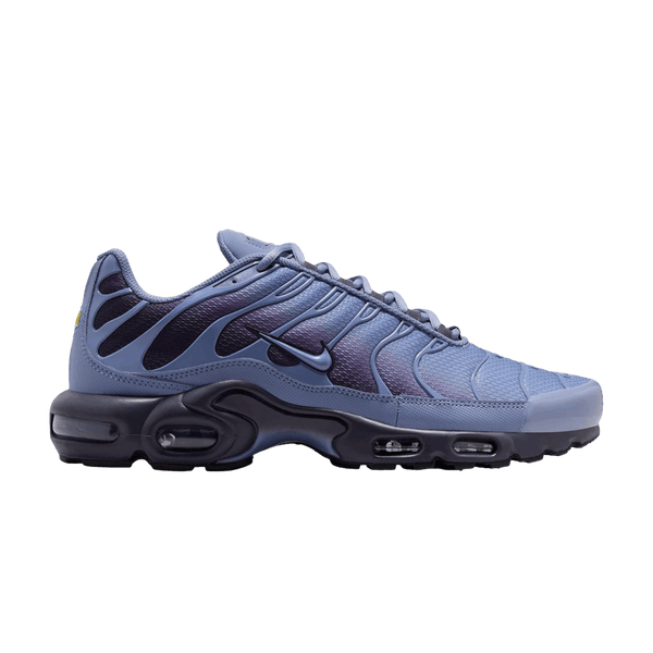 Nike Air Max Plus World Indigo