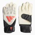 Adidas Predator GL Training