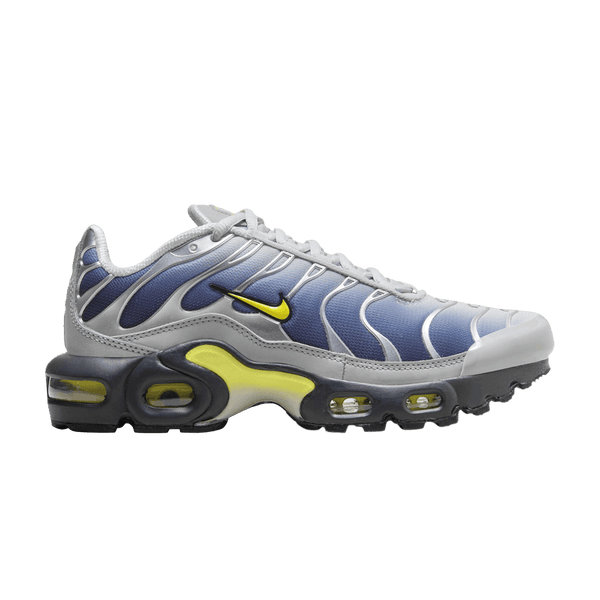 Nike Air Max Plus Obsidian Silver (GS)