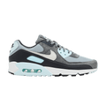 Nike Air Max 90 Light Pumice Smoke Grey