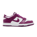 Nike Dunk Low Viotech (GS)