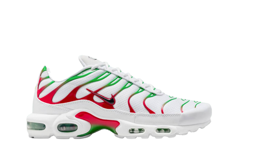 Nike Air Max Plus Italy
