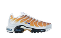 Nike Air Max Plus One Block Down Chutney