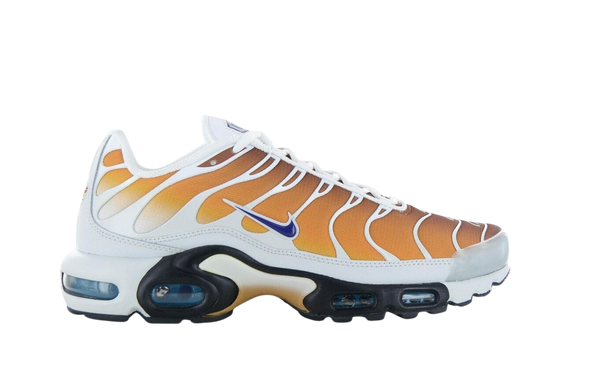 Nike Air Max Plus One Block Down Chutney