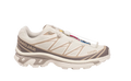 Salomon XT-6 Vanilla Ice Iron Etherea