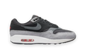 Nike Air Max 1 Premium Dark Smoke Grey