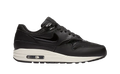 Air Max 1 Stealth