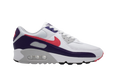 Air Max 90 Eggplant