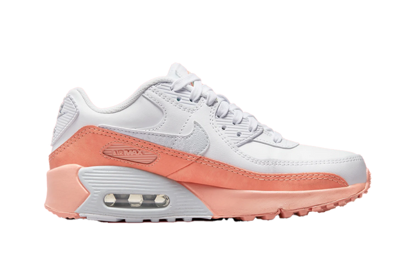 Nike Air Max 90 Leather Rainbow Salmon