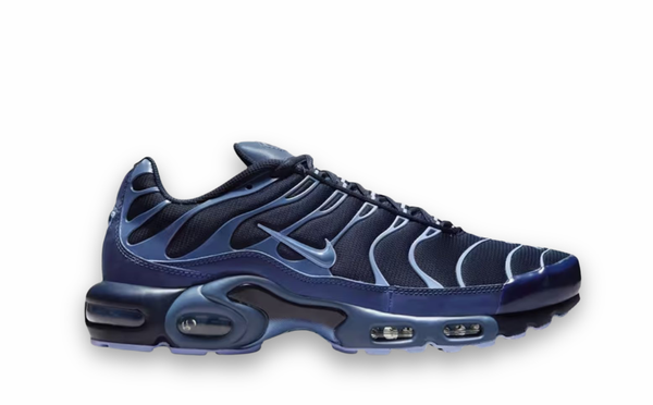 Nike Air Max Plus Obsidian Aluminum