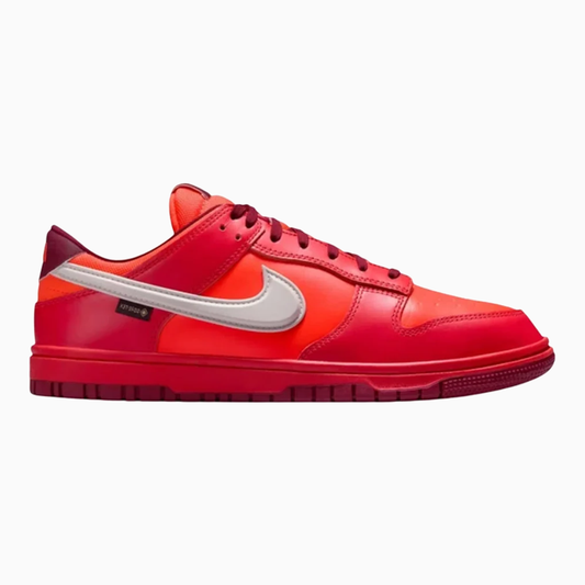 Nike Dunk Low Gtx