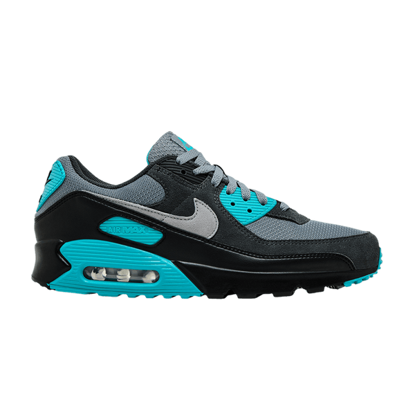 Nike Air Max 90 Cool Grey Dusty Cactus Black Wolf Grey