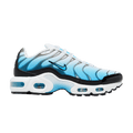 Nike Air Max Plus Ice (GS)