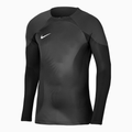 Nike Gardien IV Goalkeeper JSY