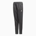 Adidas TAN TR Panty
