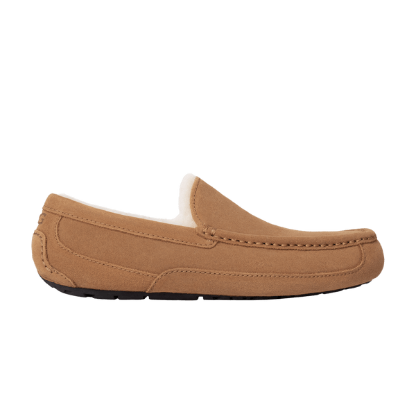 UGG Ascot Slipper Chestnut