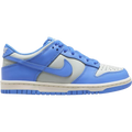 Nike Dunk Low Light Silver Sail Light Photo Blue (GS)