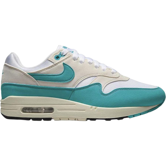Nike Air Max 1 Dusty Cactus (Women's)